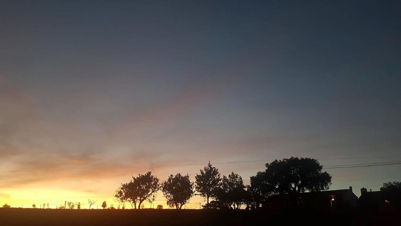 Herdade Reguenguinho Cercal do Alentejo エクステリア 写真