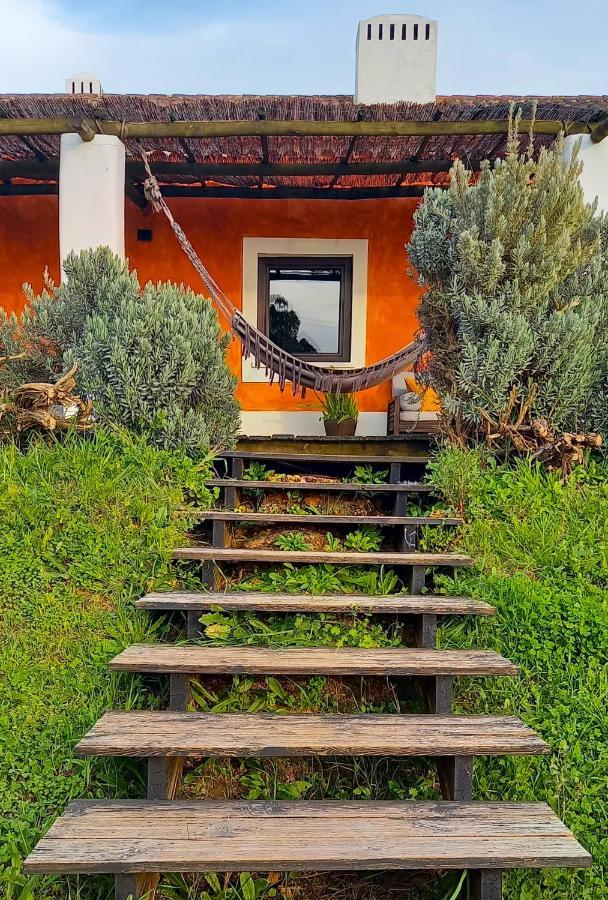 Herdade Reguenguinho Cercal do Alentejo エクステリア 写真