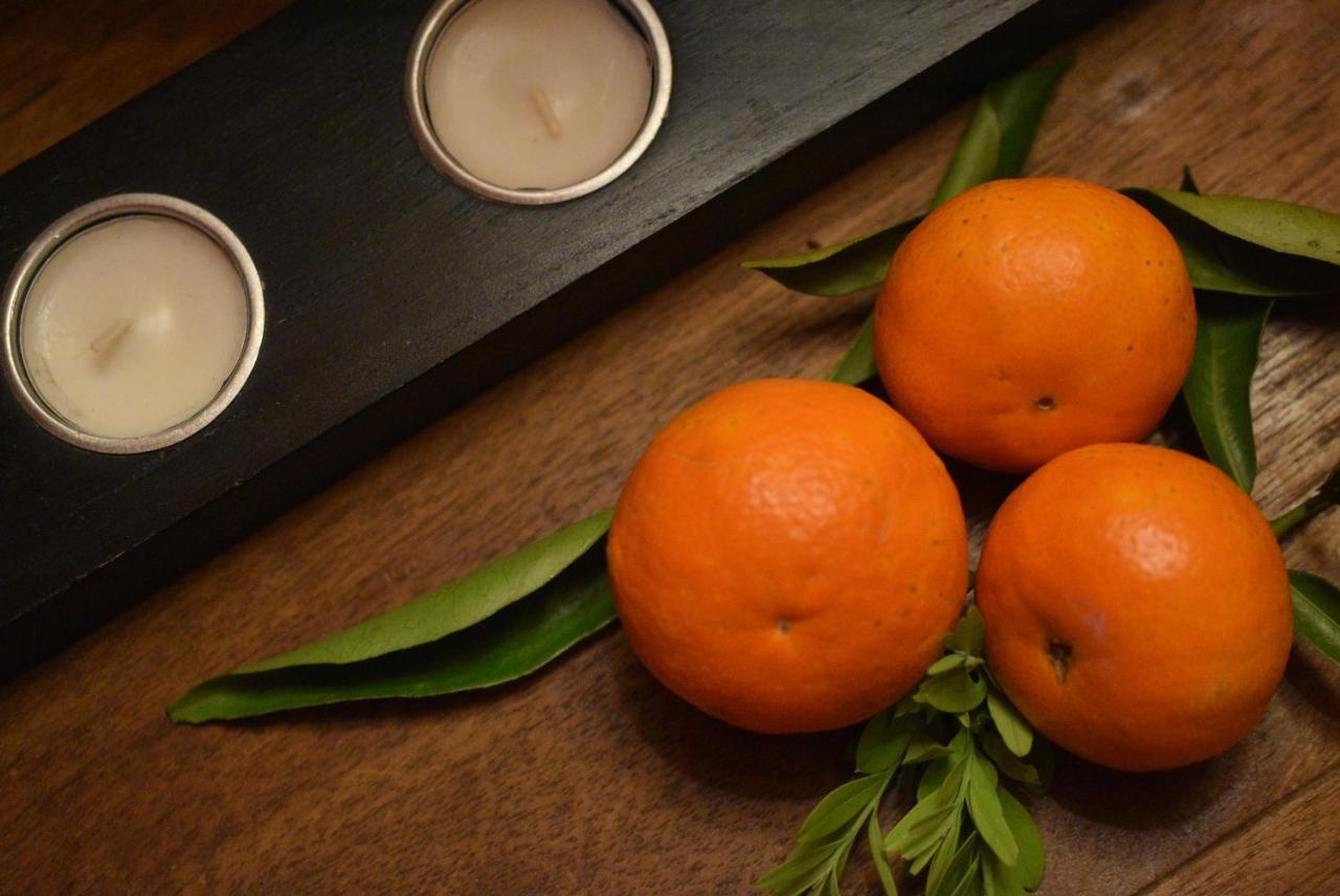 Herdade Reguenguinho Cercal do Alentejo エクステリア 写真